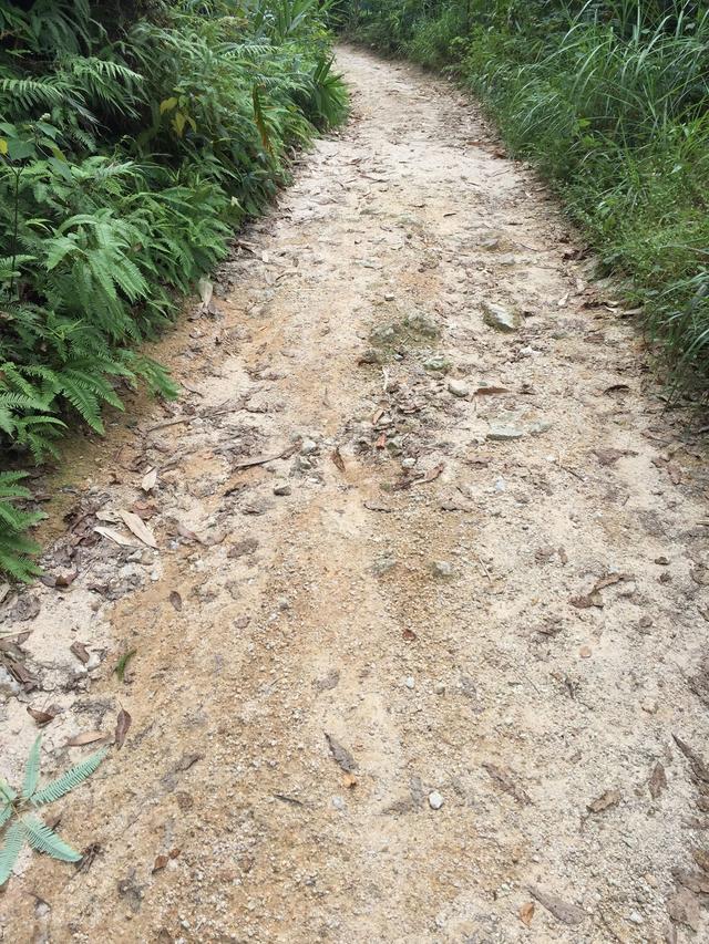 山间小路发现的天然水晶