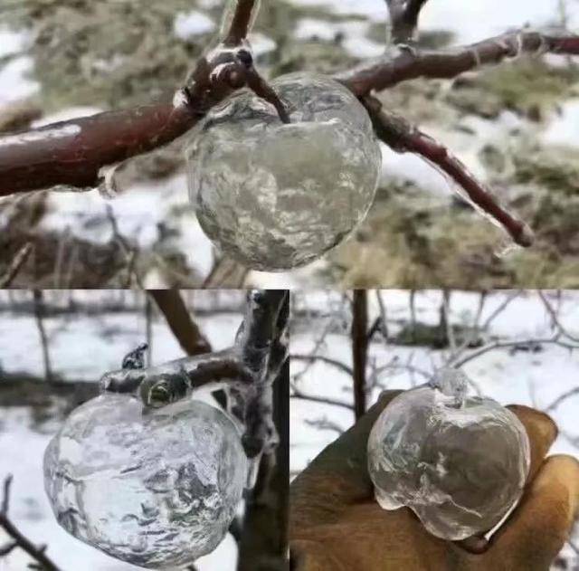 这就是所谓的天然水晶幽灵苹果